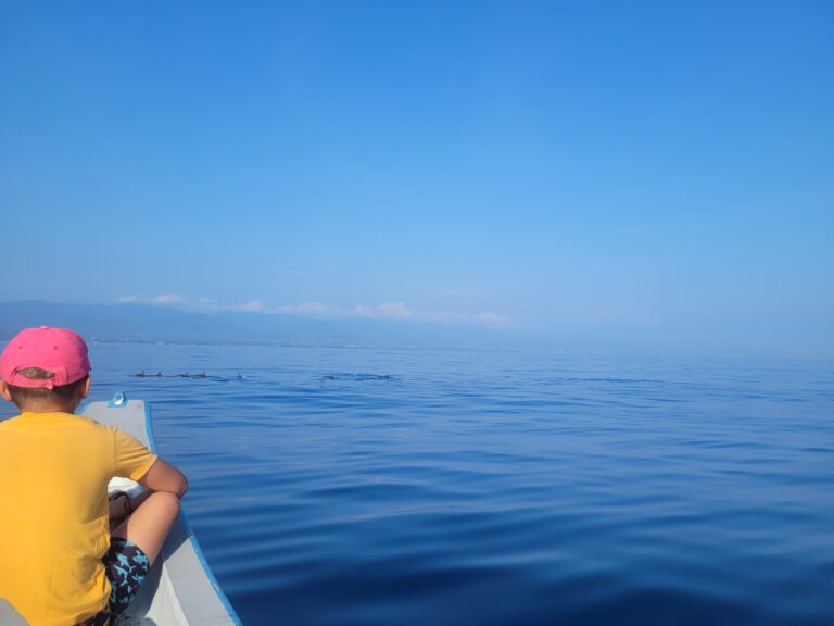Dolfijnen spotten Lovina, Bali