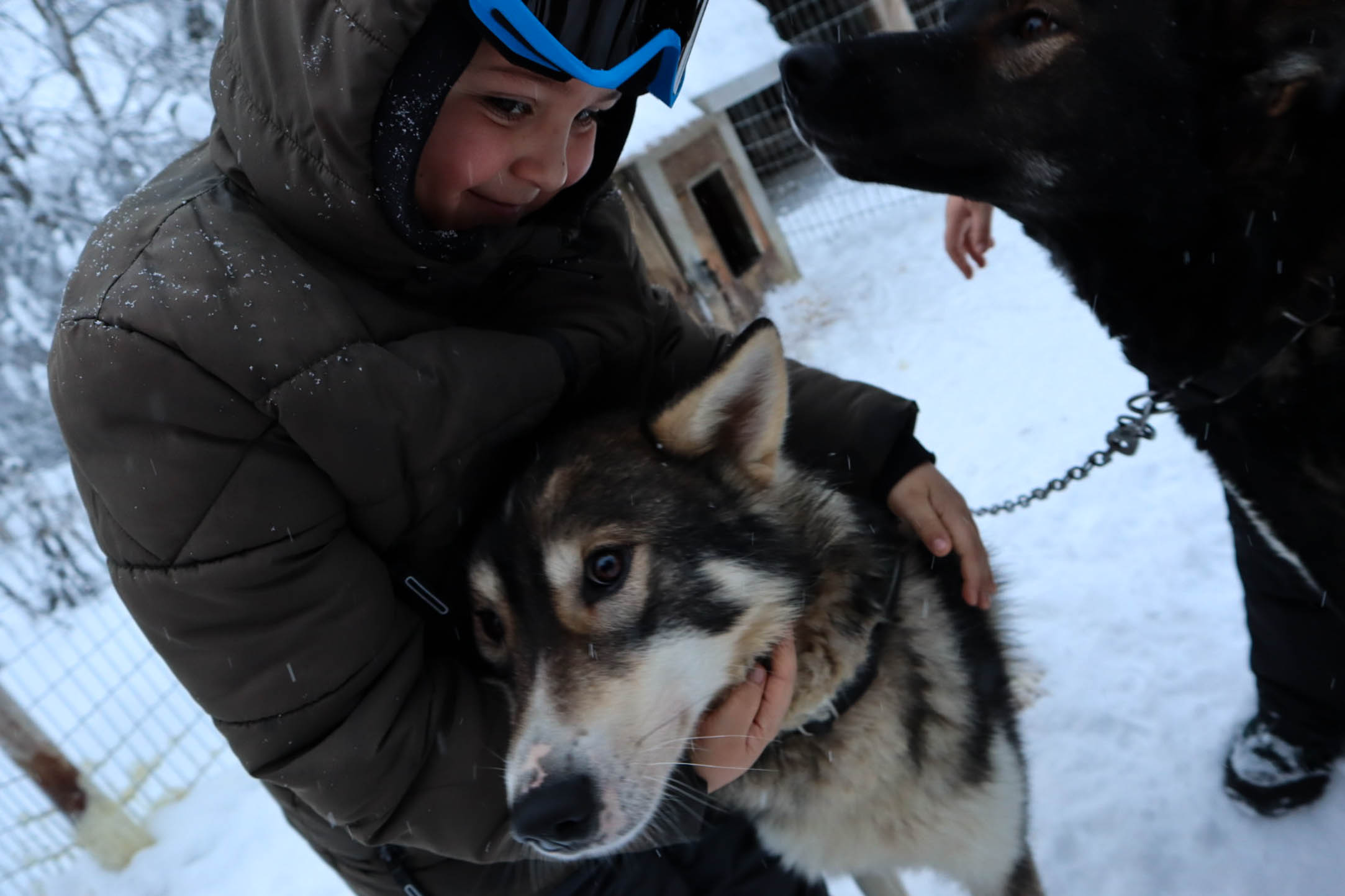 Rondreis Noorwegen. sledehonden zuid Noorwegen. wintersport met kinderen. Vakantie Noorwegen