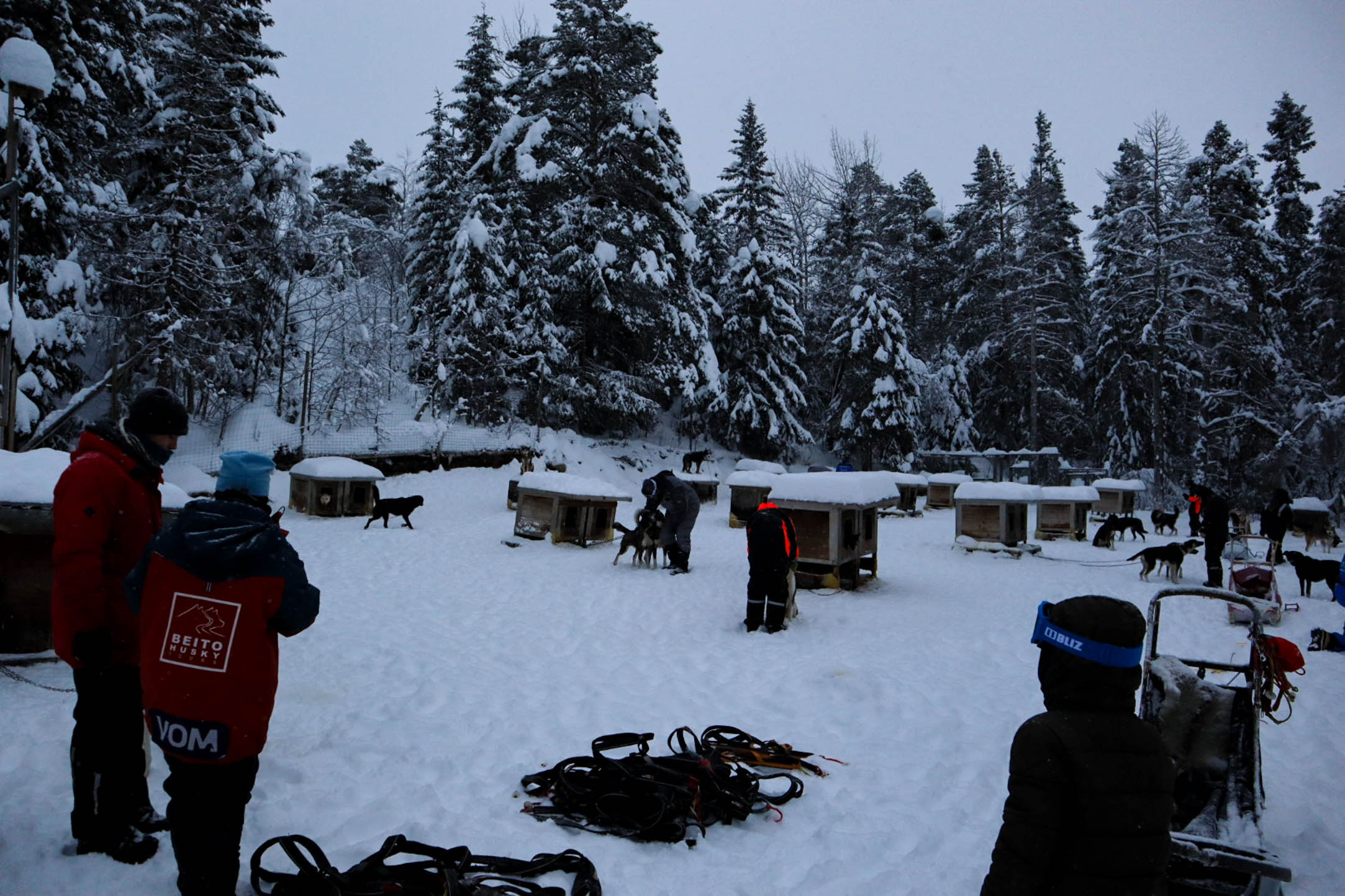 Rondreis Noorwegen. sledehonden zuid Noorwegen. wintersport met kinderen. Vakantie Noorwegen