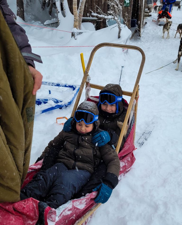 sledehonden zuid noorwegen. wintersport noorwegen, vakantie met kinderen