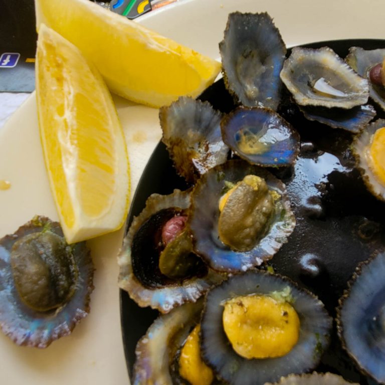 Limpets-delicatesse-Madeira-20220109